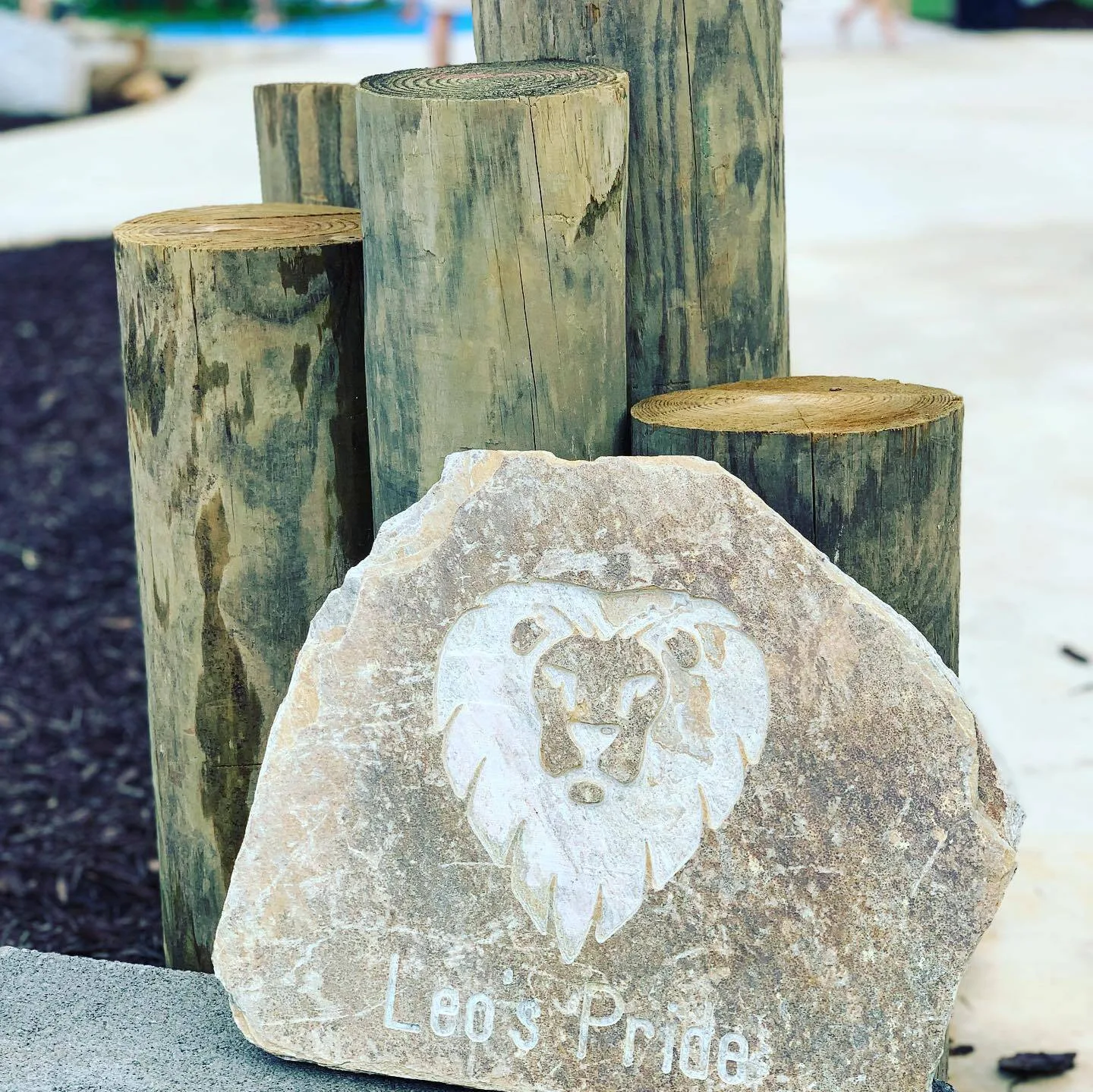 Engraved park entrance boulder in South Carolina
